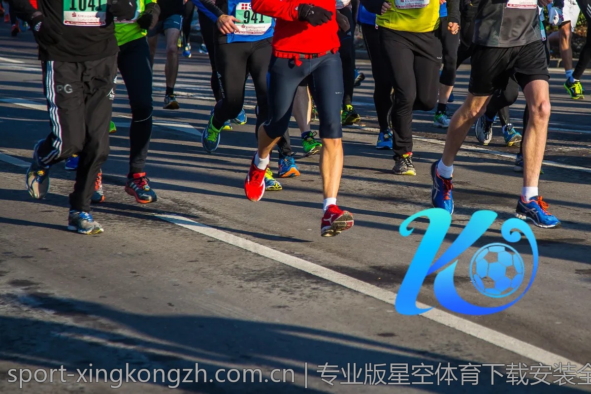 专业版星空体育下载安装全攻略